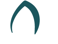 TurtlePie Solutions Web Development